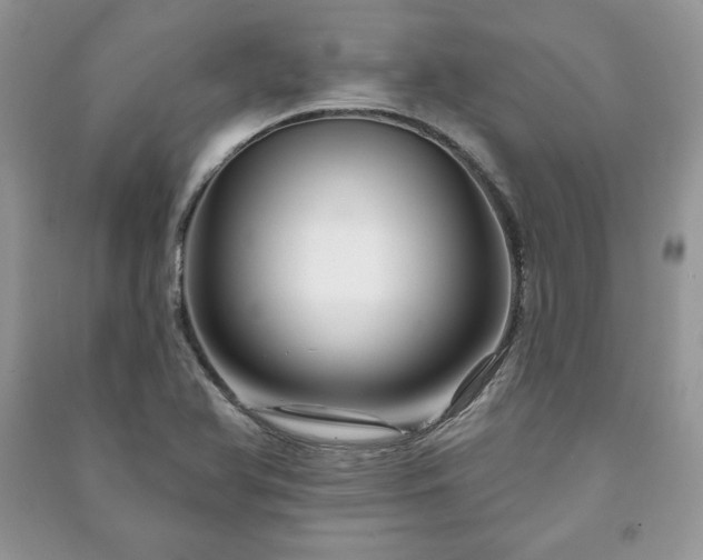 X0000090971366200708091427