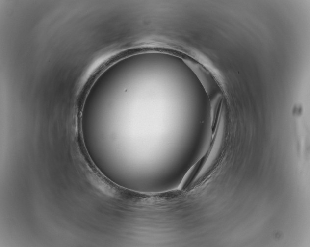 X0000090971368200708091427