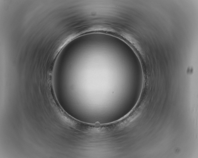 X0000090971369200708091427