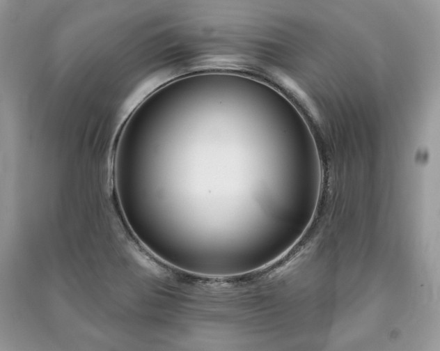 X0000090971370200708091427