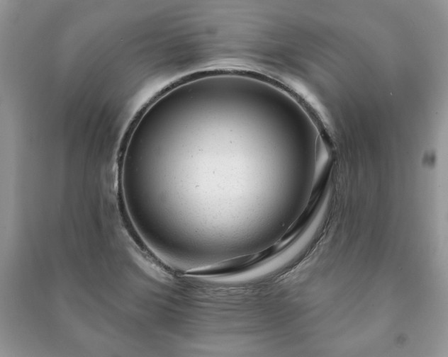 X0000090971372200708091427