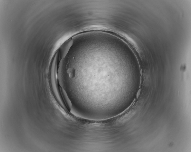 X0000090971373200708091427