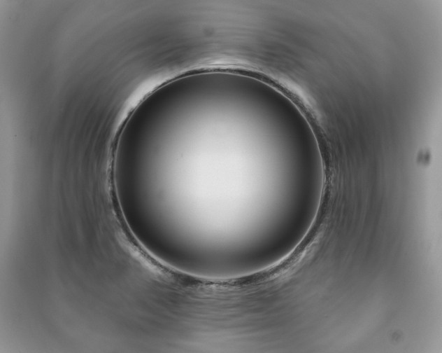 X0000090971374200708091427