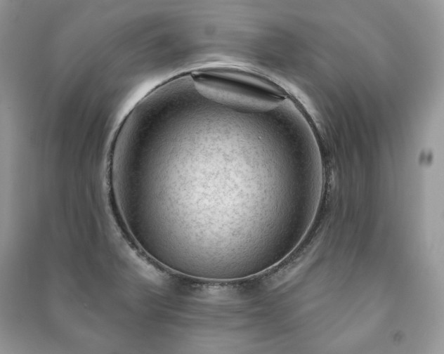 X0000090971375200708091427