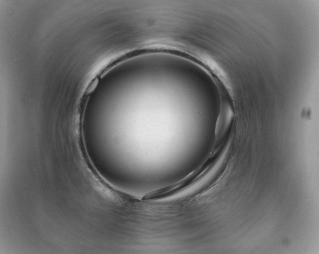 X0000090971376200708091427