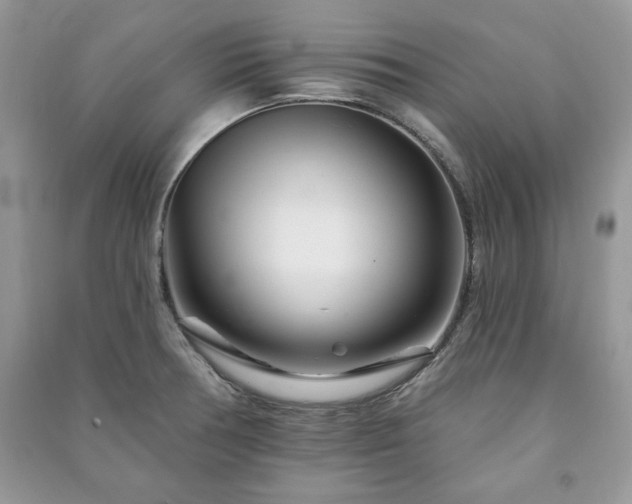 X0000090971378200708091426