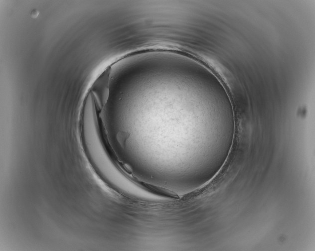 X0000090971379200708091426