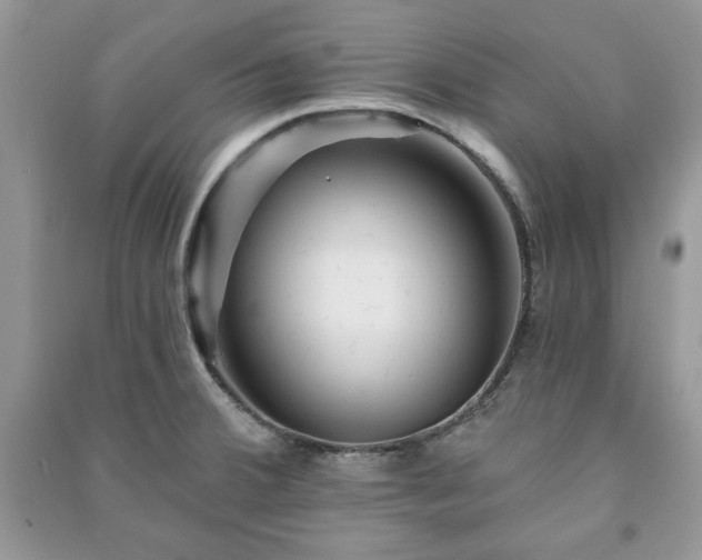 X0000090971380200708091426