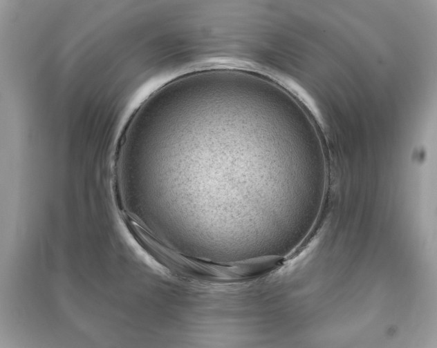 X0000090971381200708091426