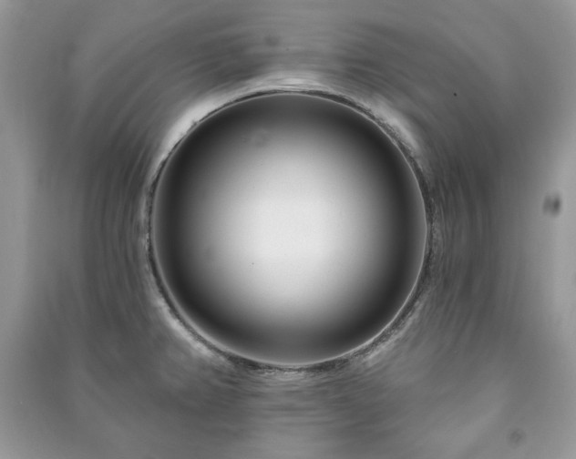 X0000090971382200708091426