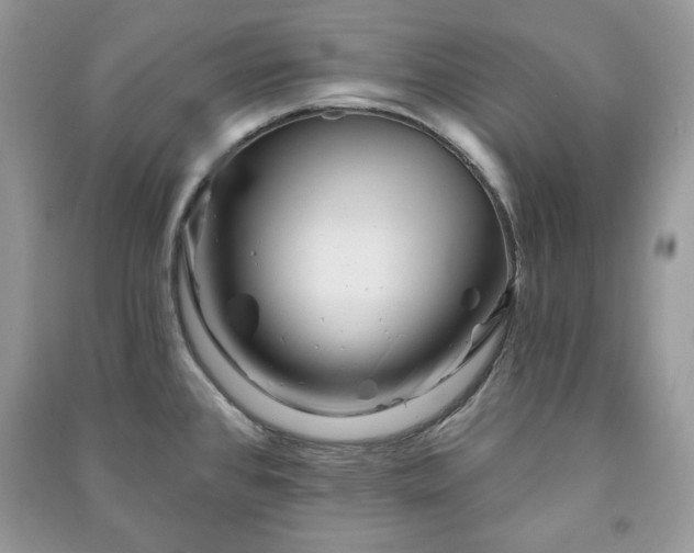 X0000090971384200708091426