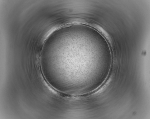 X0000090971385200708091426