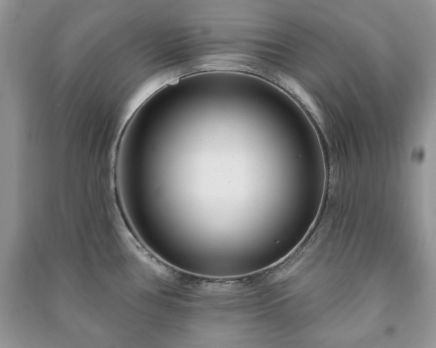 X0000090971386200708091426