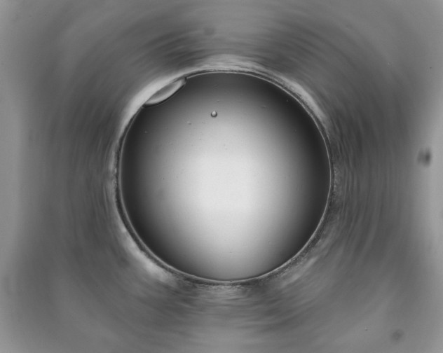 X0000090971387200708091426