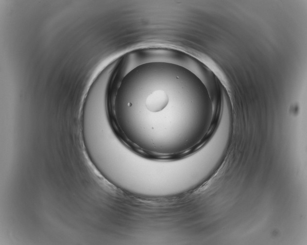 X0000090971388200708091426