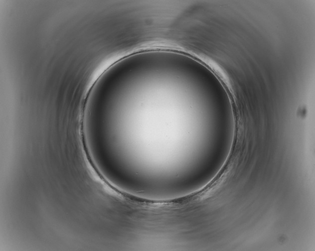 X0000090971390200708091426