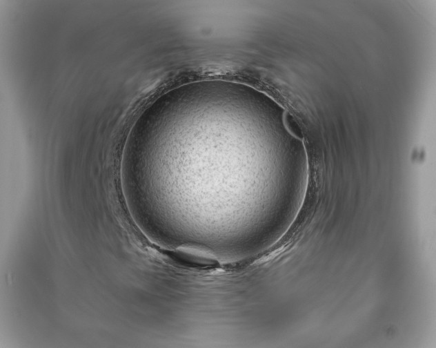 X0000090971393200708091426