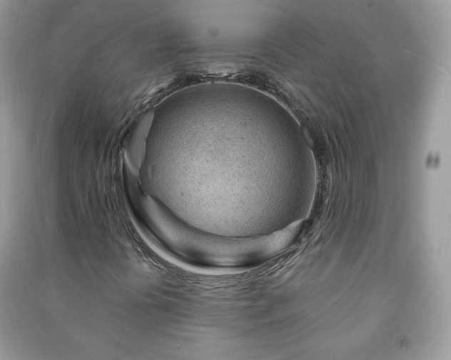 X0000090971394200708091426