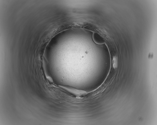 X0000090971395200708091426