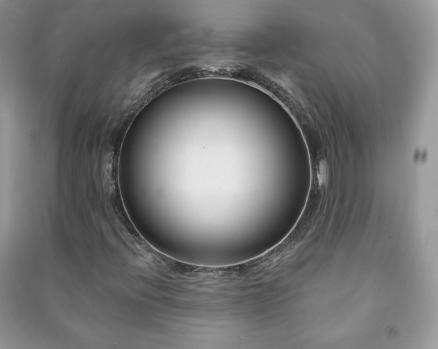 X0000090971396200708091426