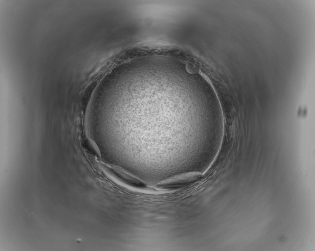 X0000090971397200708091426