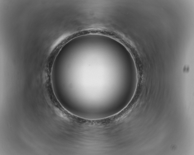 X0000090971400200708091426