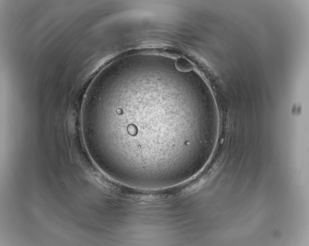 X0000090971401200708091426