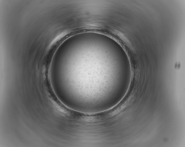 X0000090971402200708091426