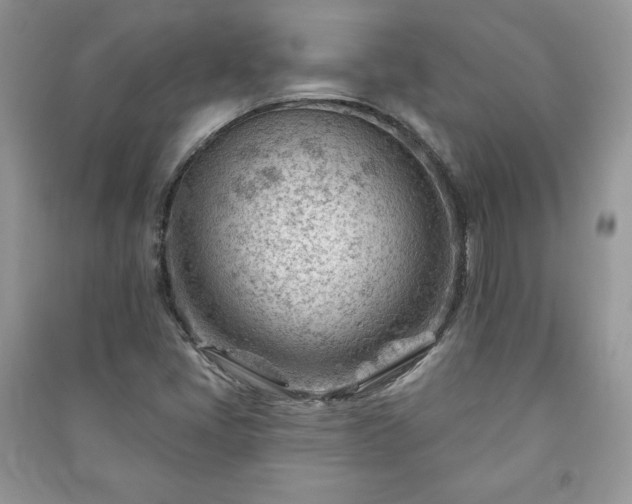 X0000090971405200708091426