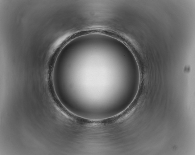 X0000090971406200708091426