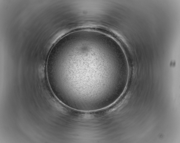 X0000090971409200708091426