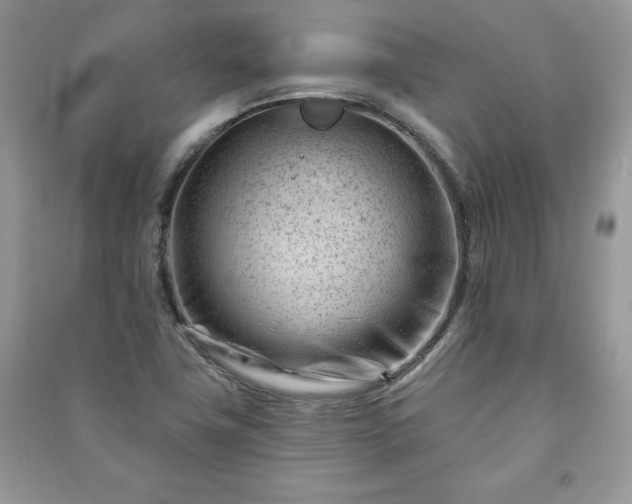 X0000090971411200708091426