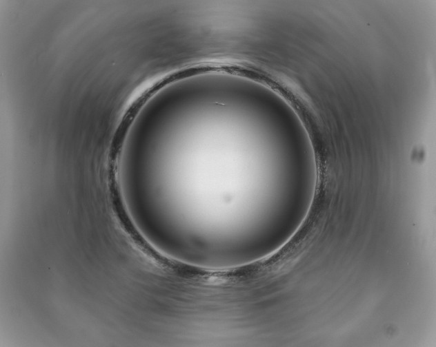 X0000090971412200708091426