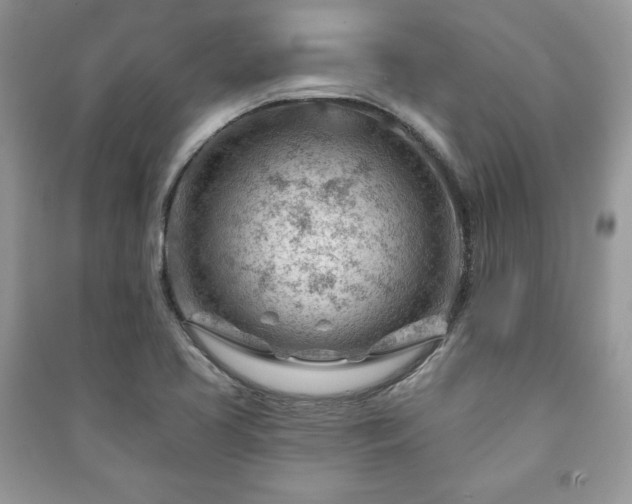 X0000090971413200708091426