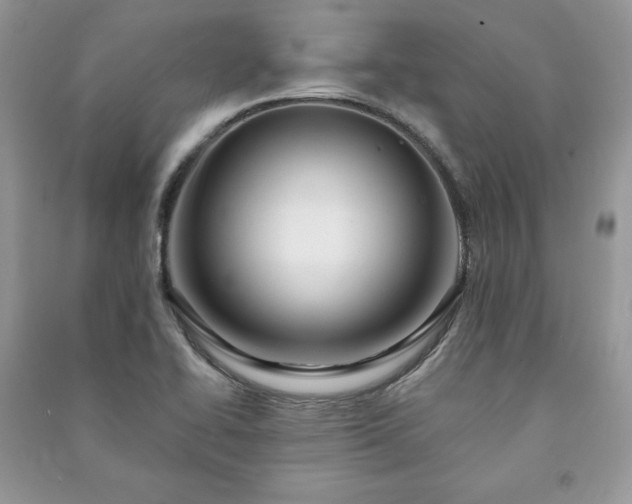 X0000090971414200708091426