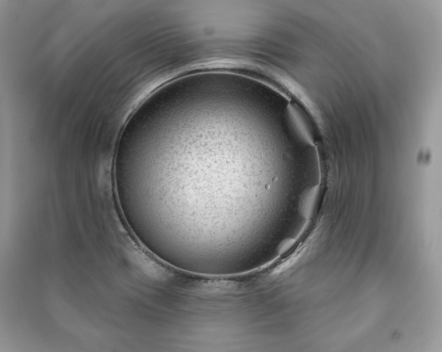 X0000090971417200708091426