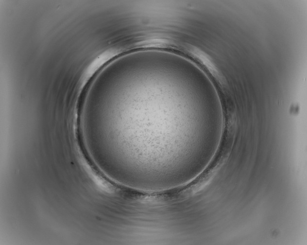 X0000090971418200708091426