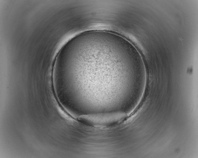 X0000090971421200708091426