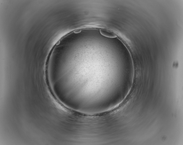 X0000090971423200708091426