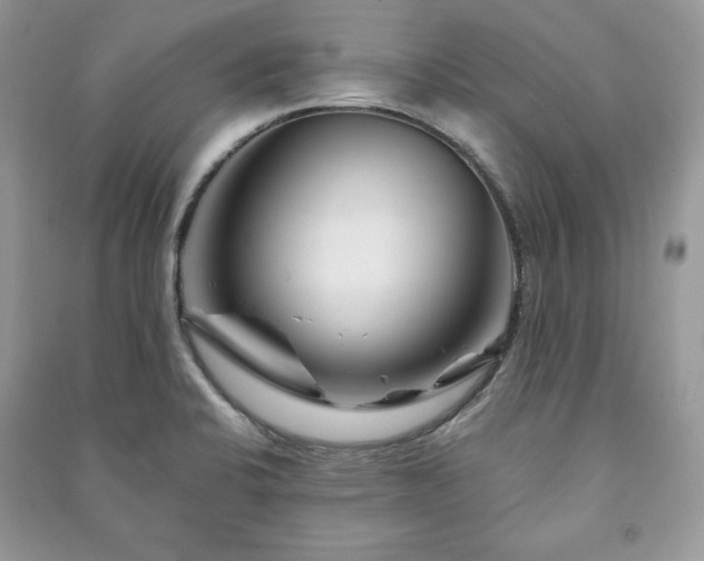 X0000090971424200708091426