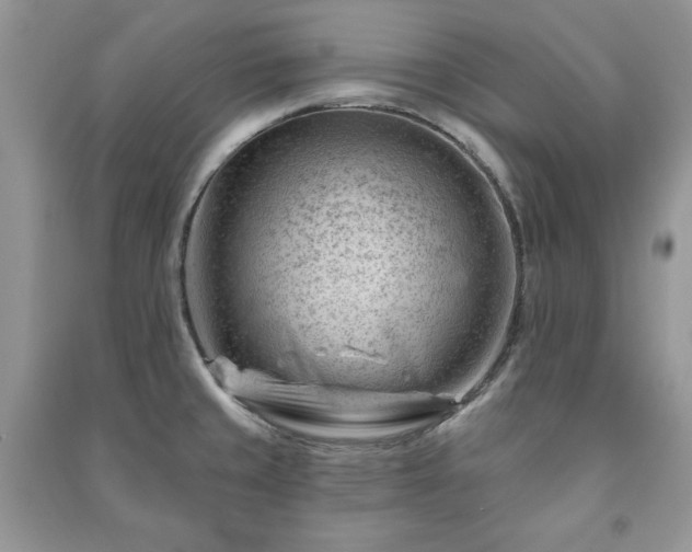 X0000090971429200708091426