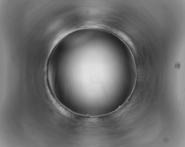 X0000090971431200708091426