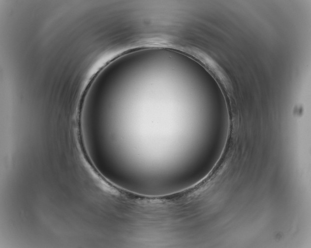 X0000090971432200708091426