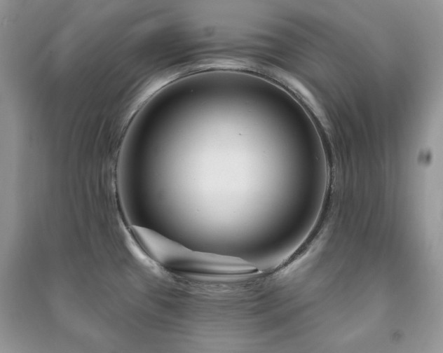 X0000090971433200708091426