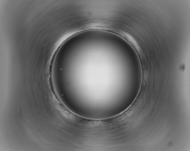 X0000090971435200708091426