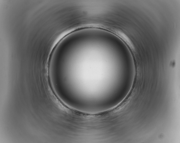 X0000090971436200708091426