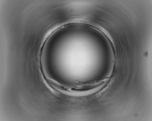 X0000090971437200708091426