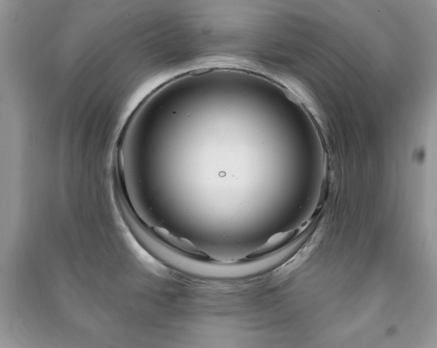 X0000090971438200708091426