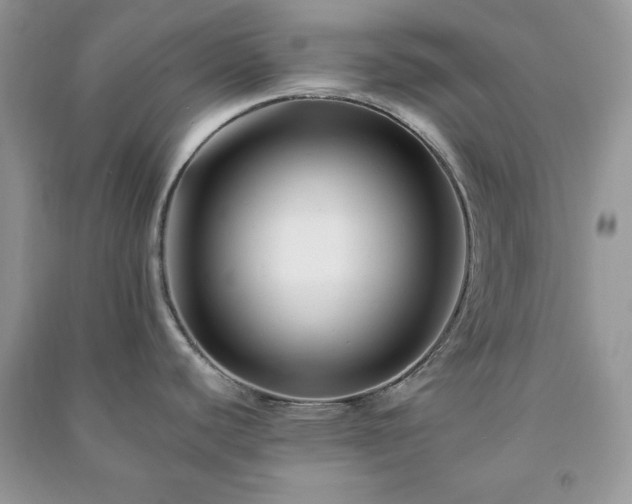 X0000090971440200708091426