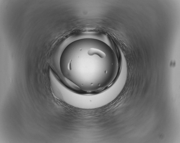 X0000090971441200708091426